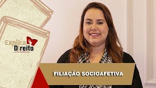 Explica Direito Filiação Socioafetiva  2019 [upl. by Eiralav]