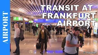 TRANSIT WALK AT FRANKFURT Airport FRA Terminal 1  Connection Flight Transfer Arriving amp Departing [upl. by Christmas926]